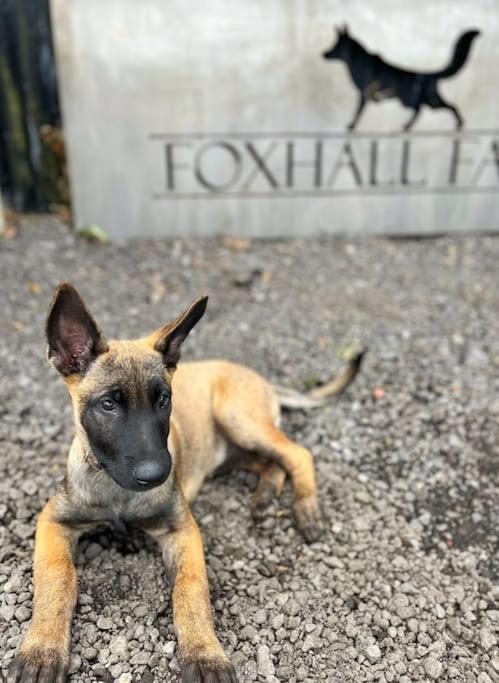Foxhall Farm Тирск Екстериор снимка