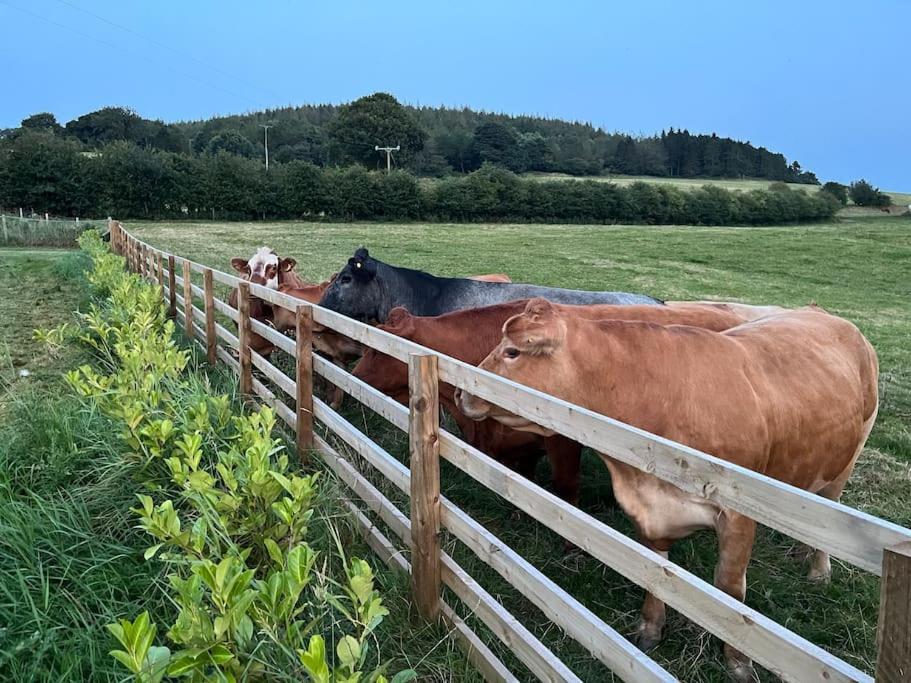 Foxhall Farm Тирск Екстериор снимка
